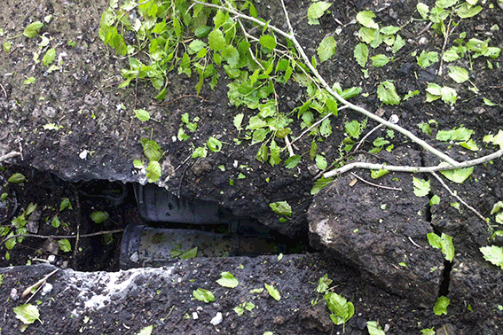 PM666image001