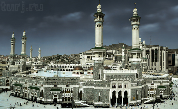 dandubai.ru