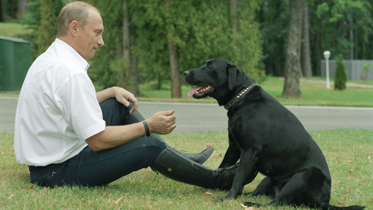 www.bolshoyvopros.ru