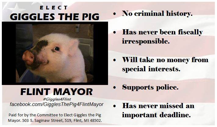 Страница Giggles the Pig for Flint Mayor в Facebook