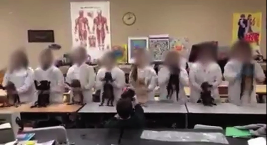 скриншот с видео