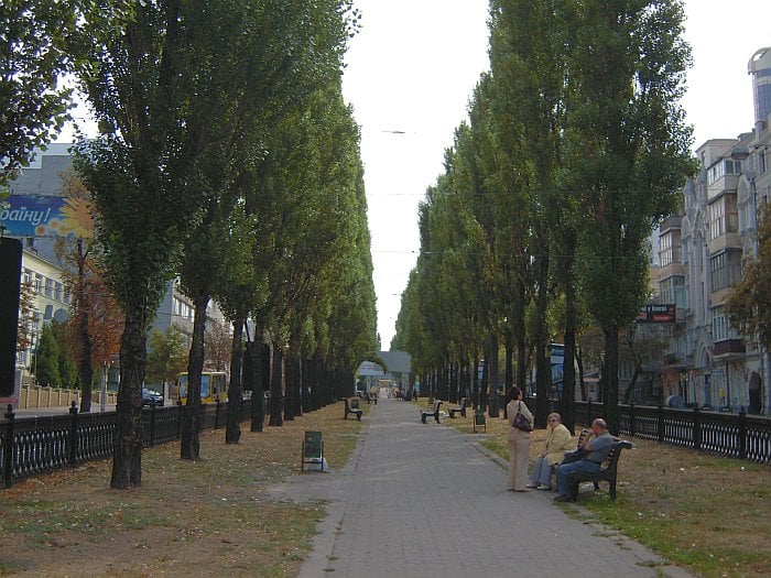 kiev24.ua
