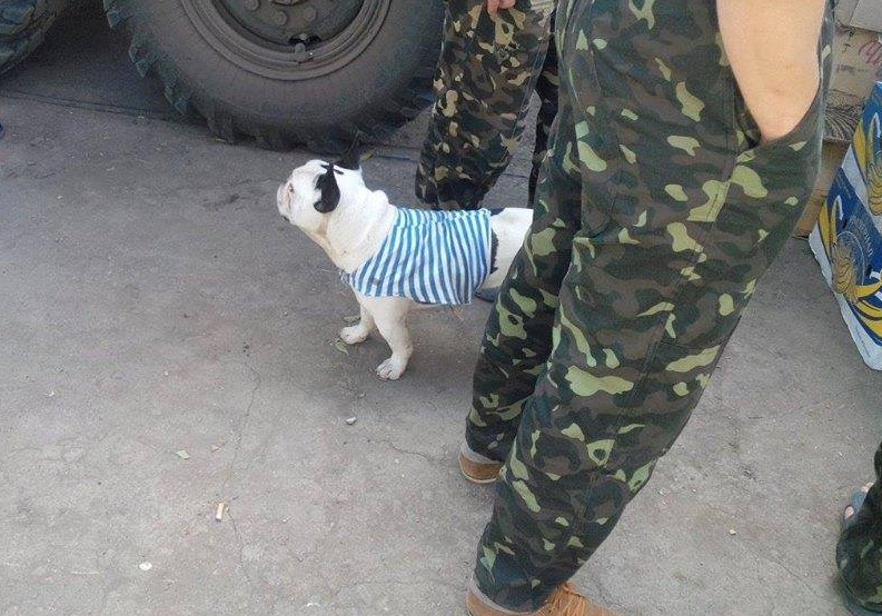 facebook.com/theministryofdefence.ua