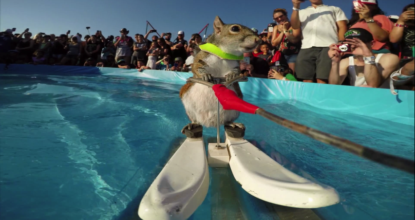 скриншот с видео