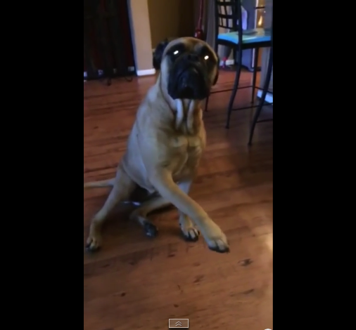 скриншот с видео