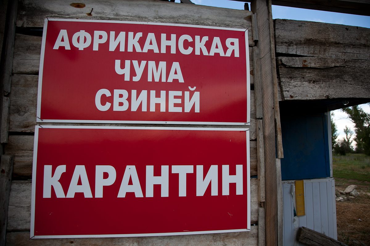 volganet.ru