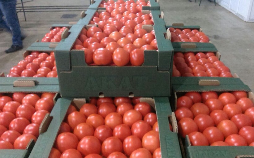 agrobazar.ru