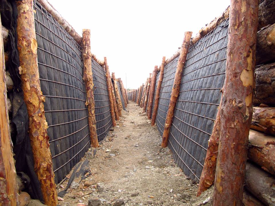 Тарас грень