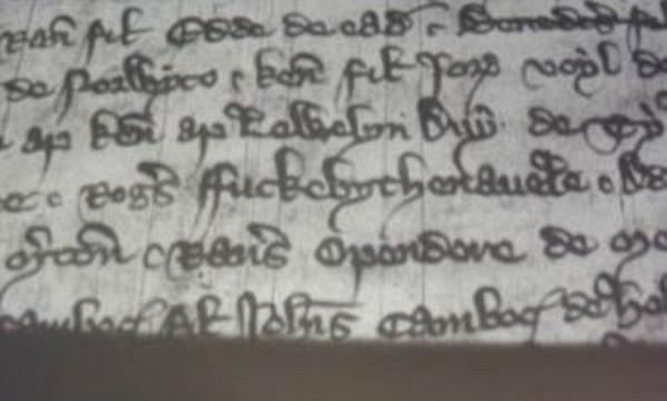 Paul Booth / medievalists.net