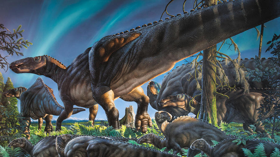 James Havens / UFA / sci-news.com