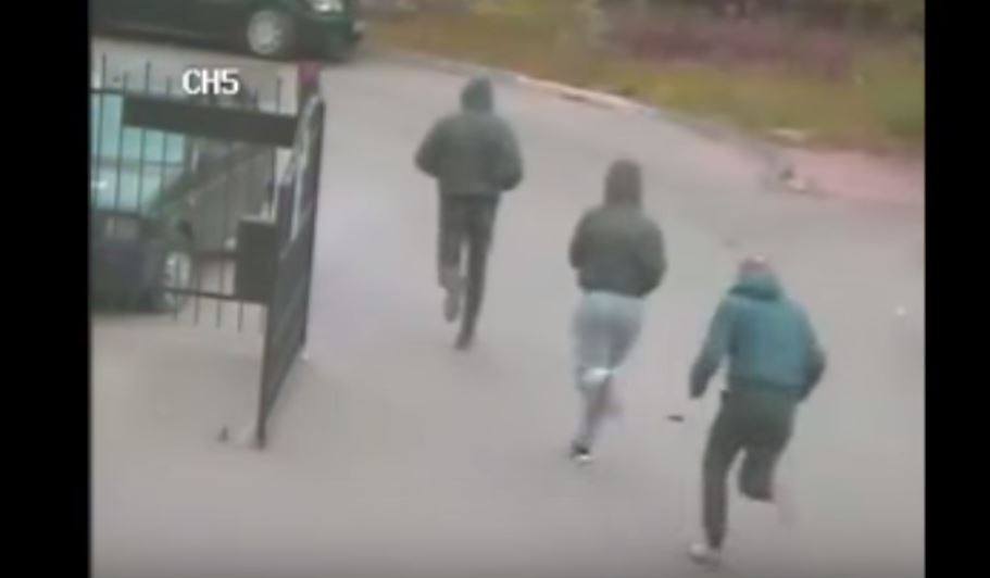 скриншот