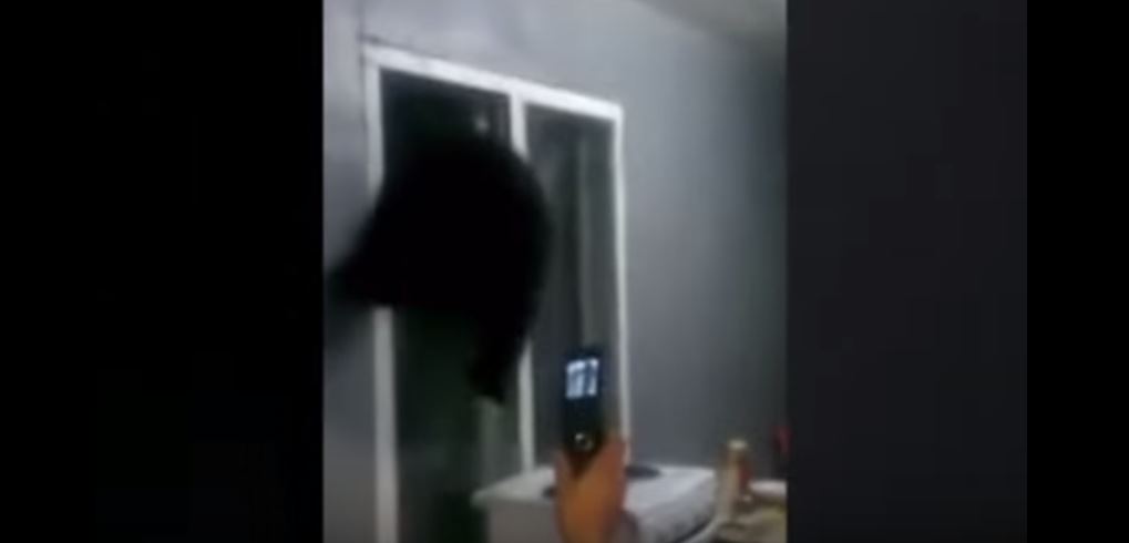 скриншот