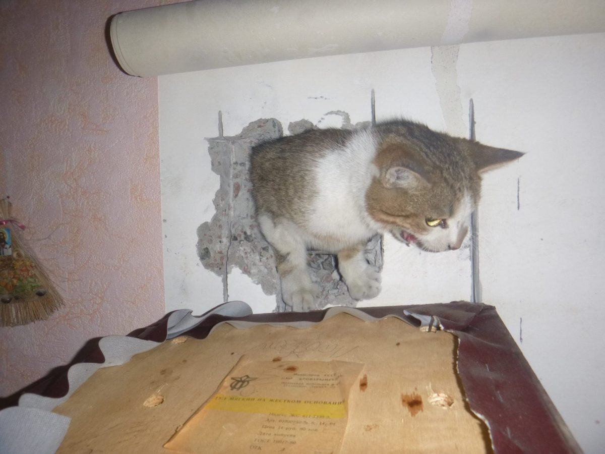 facebook/kyivrescue