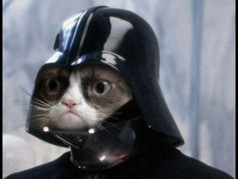 twitter/TineEeckhout