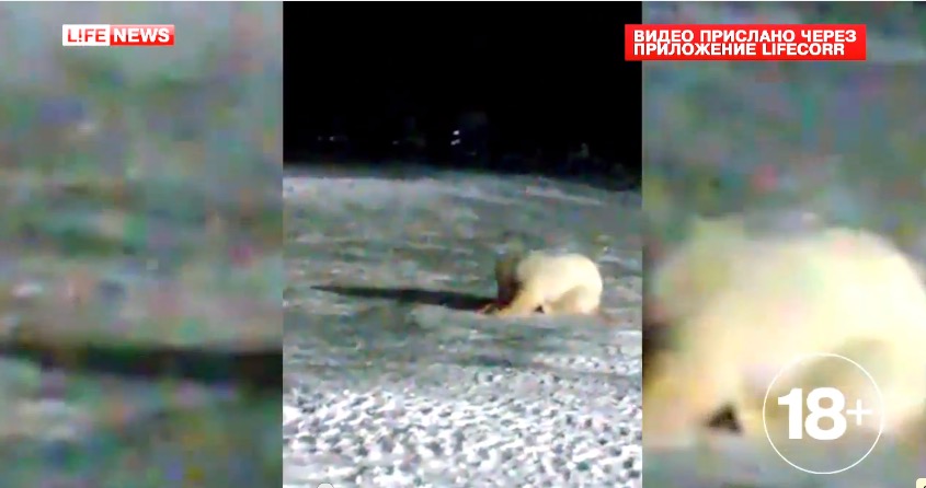 скриншот с видео