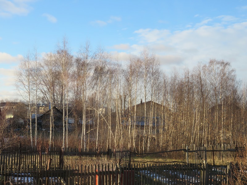 house-totocha.blogspot.com