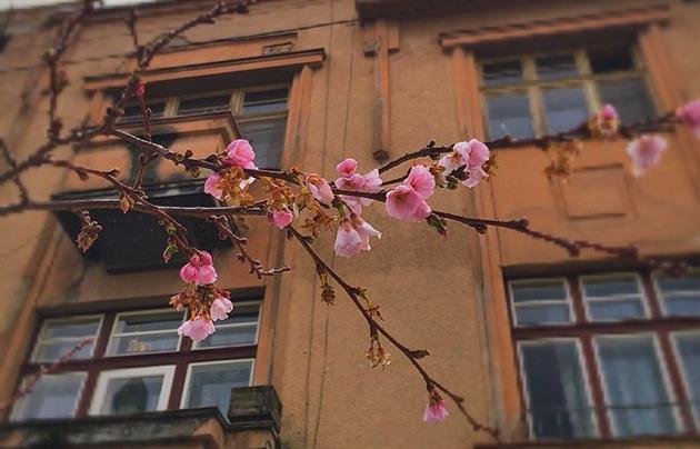 www.mukachevo.net
