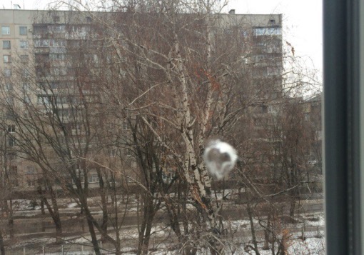 vk.com/h_kharkov