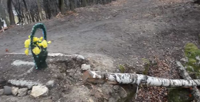 Стоп-кадр из видео