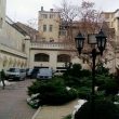 dumskaya.net