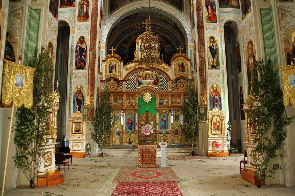 lisovapisnya.com.ua