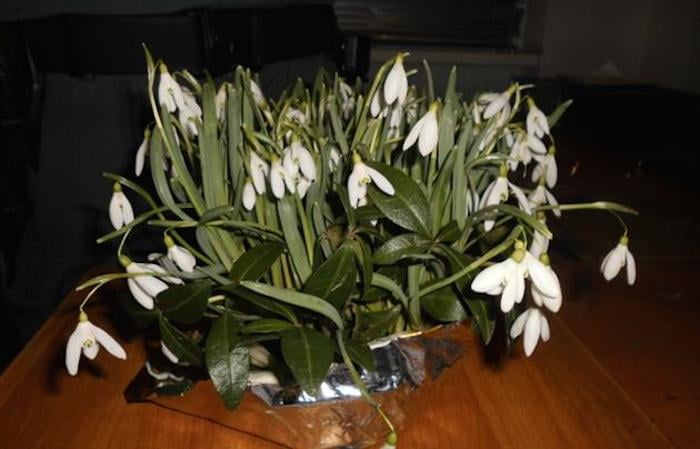 Мукачево.net