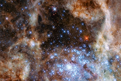 NASA