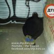 facebook.com/dtp.kiev.ua
