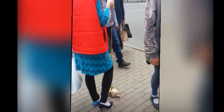 скриншот
