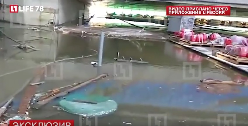 скриншот с видео