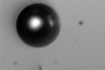 CINaM-CNRS / Aix-Marseille University