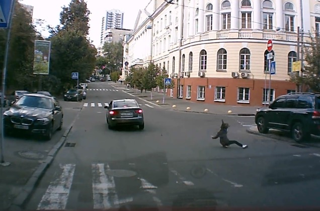 скриншот с видео