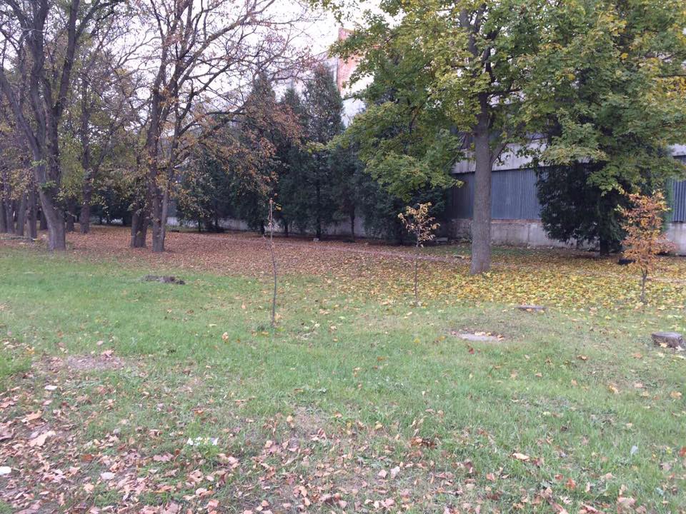 фейсбук/Игорь Мосийчук