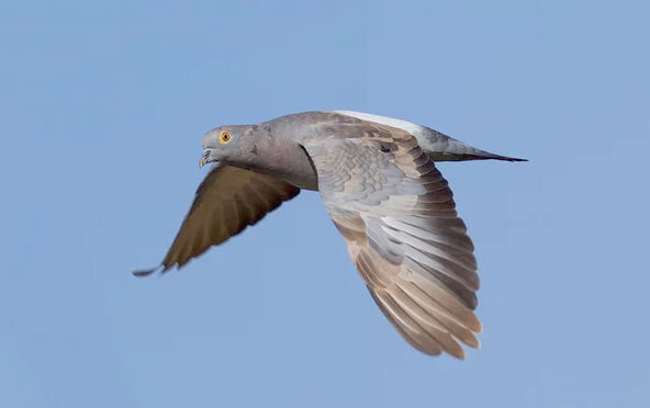 Photograph: Alamy
