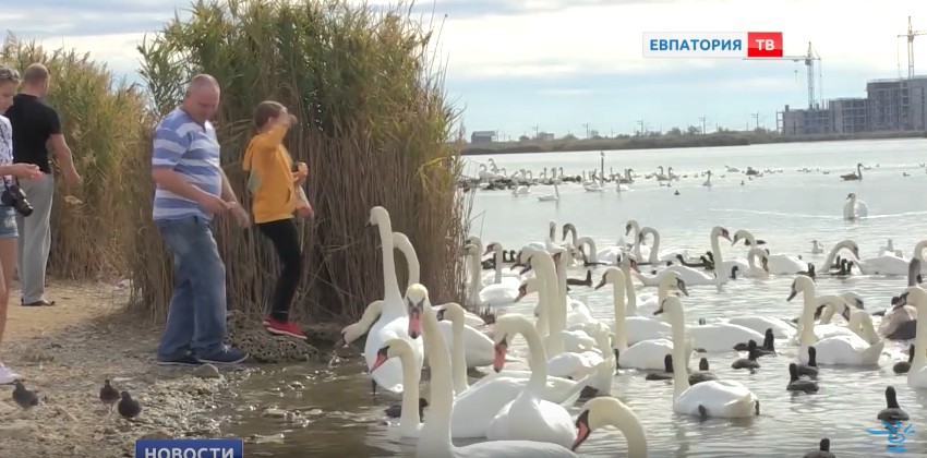 скриншот с видео