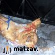 matzav.com