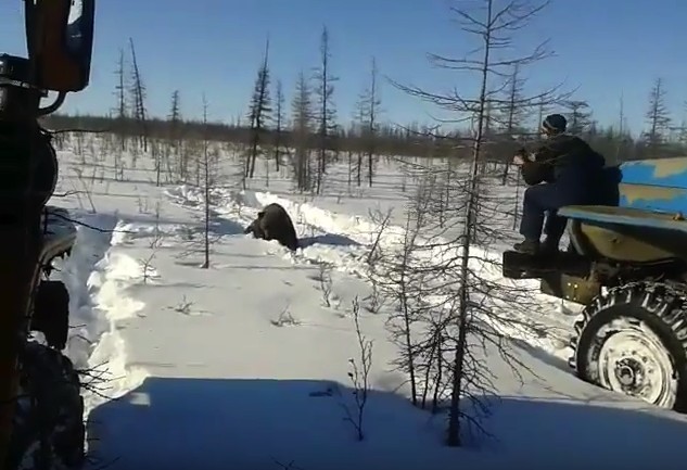 скриншот с видео