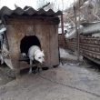 facebook.com/КП-Центр-Защиты-Животных