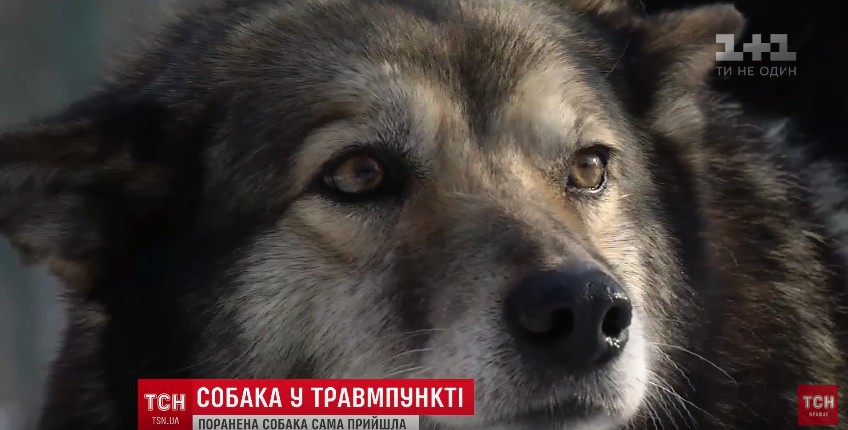 скриншот с видео
