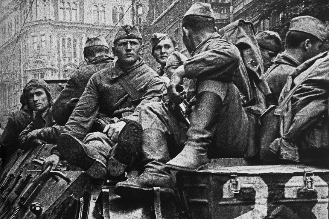Антикор
