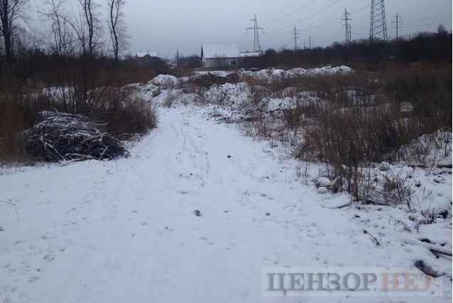 Цензор.НЕТ