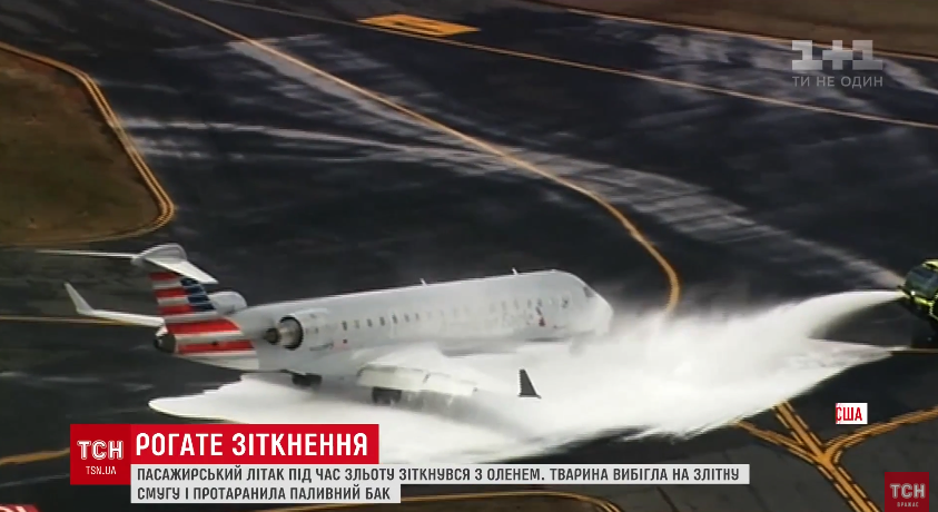 скриншот с видео