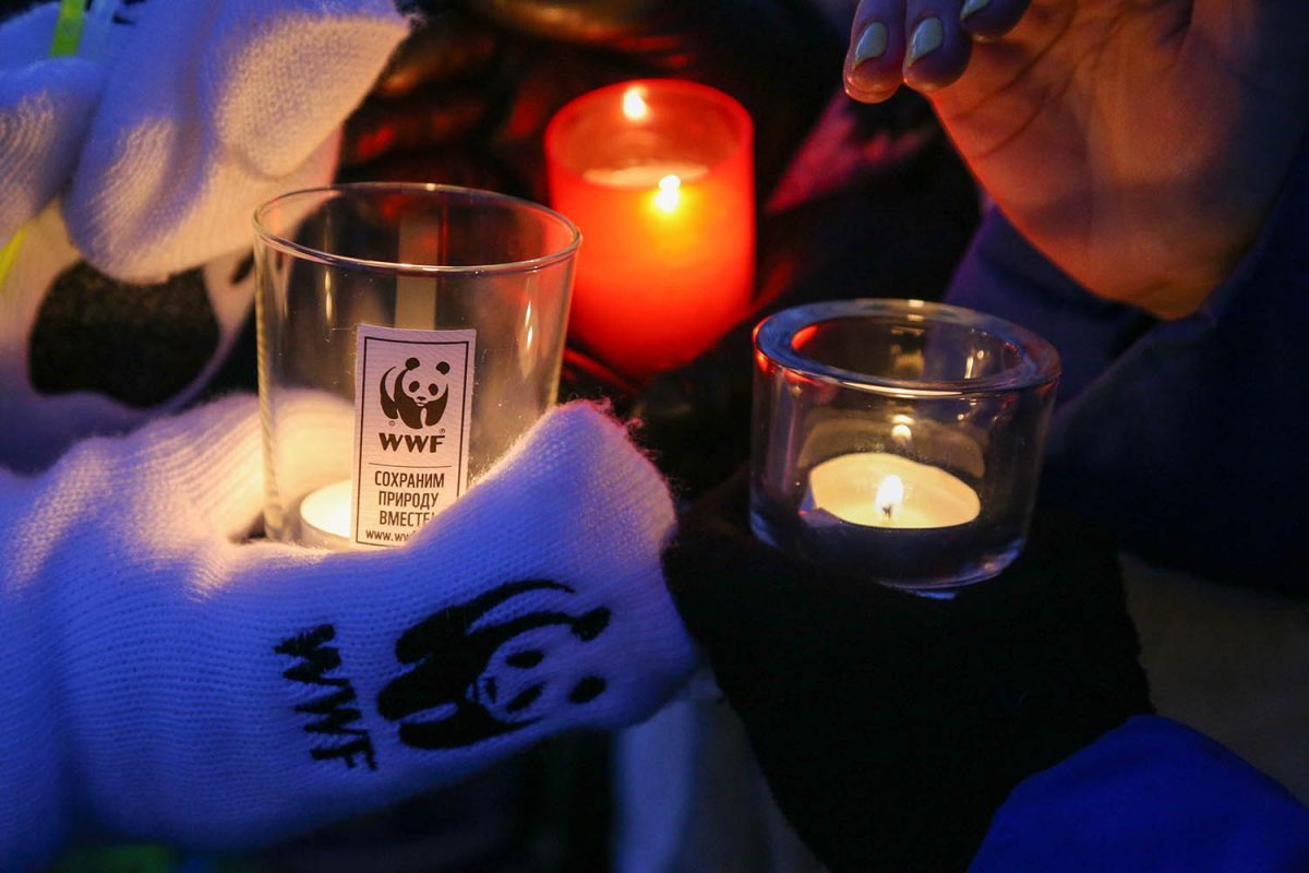 60.wwf.ru