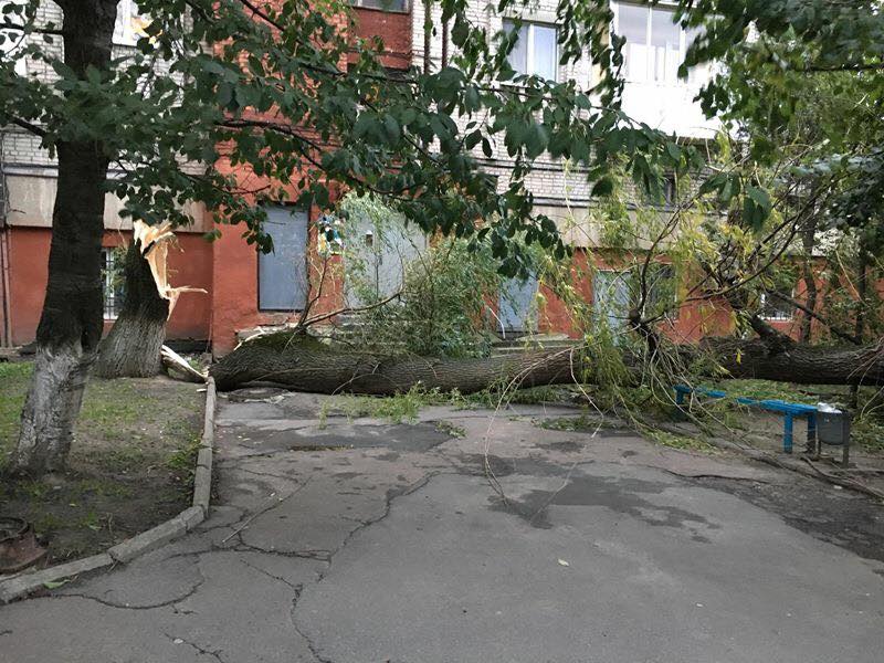 Ураган в Украине