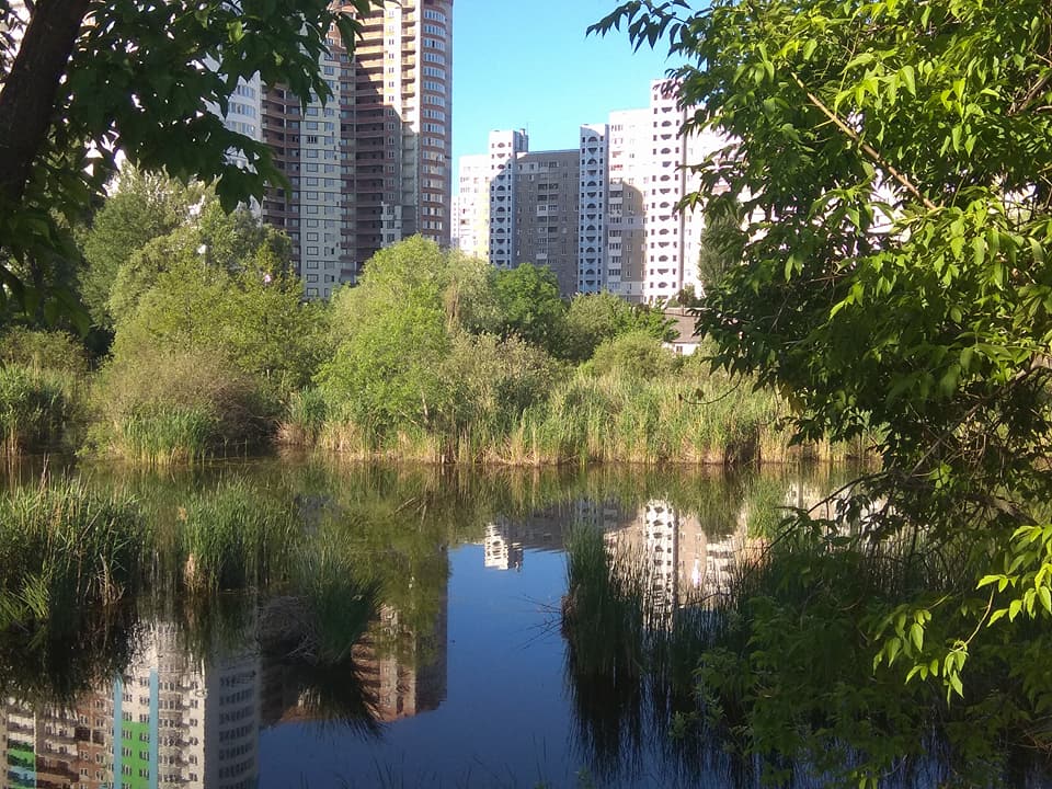 Новости Киева