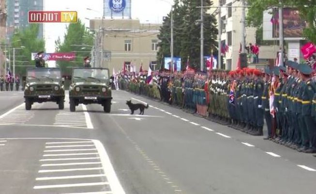 Новости ДНР