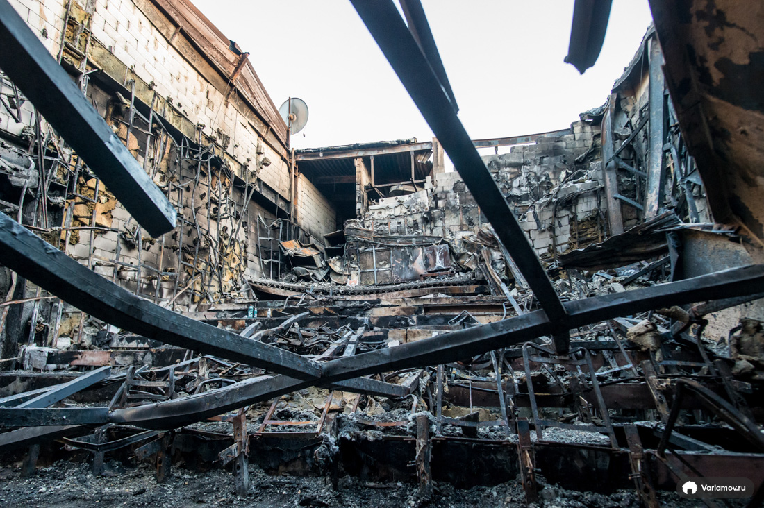 Зимняя вишня