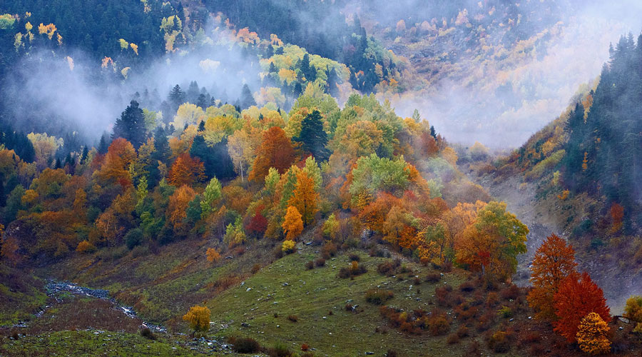осень в Карпатах