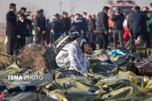 Пилот иранского самолета видел попадание ракеты в борт самолета МАУ: аудио