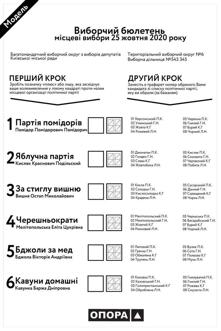 Избирательный адрес на местных выборах изменили 98 тыс. избирателей, – ЦИК - Цензор.НЕТ 1410